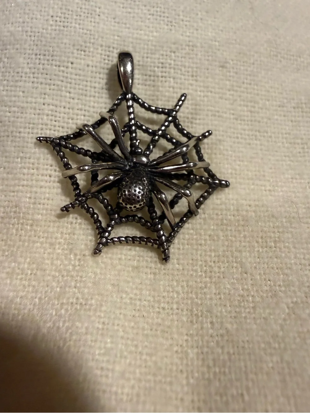 Silver 925 Spider in Web charm 3d Arrok Jewlery